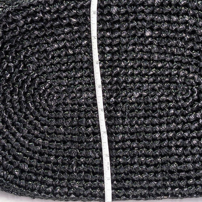 Balenciaga Women's Large Le Cagole Panier Black Raffia Tote Bag (MSRP $1,750)